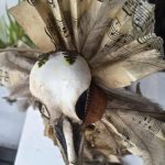 bird skull doll